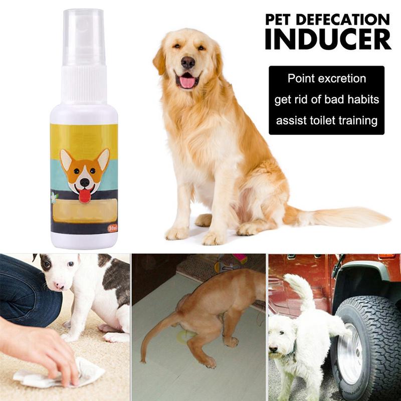 1PCS Dog Potty Train Spray Por - Travel Accessories In Train 评论和价格