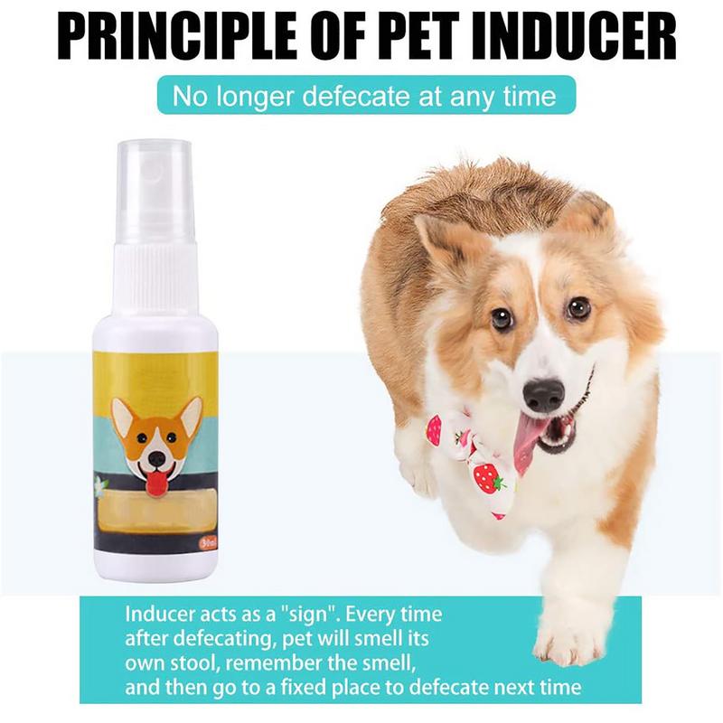 1PCS Dog Potty Train Spray Por - Travel Accessories In Train 评论和价格